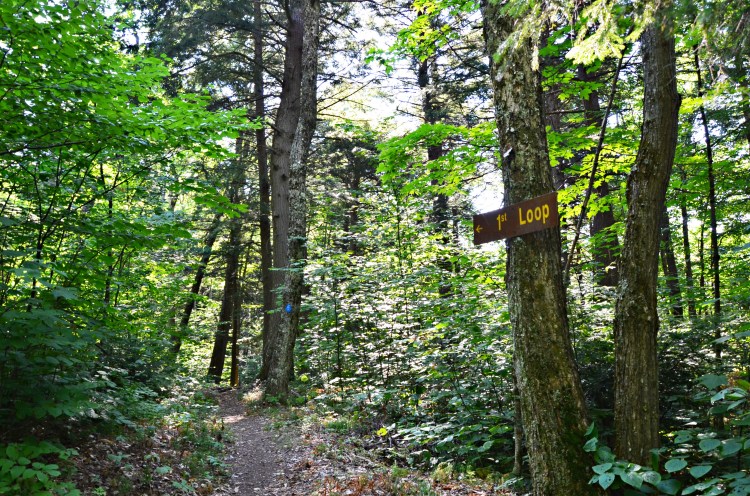 TrailDirection_SecondDay