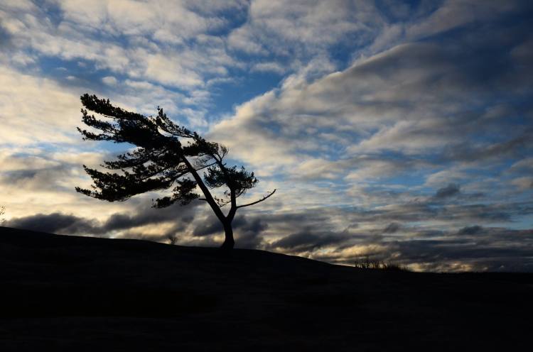 14711142_10155401540517729_8153804839181168982_o